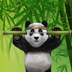 Bonus Bambu