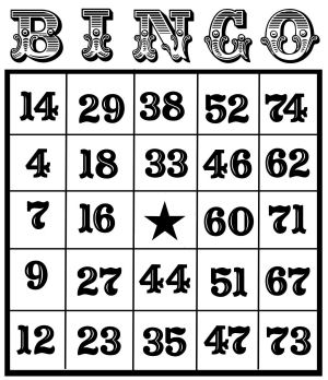 Jogos de vídeo bingo online
